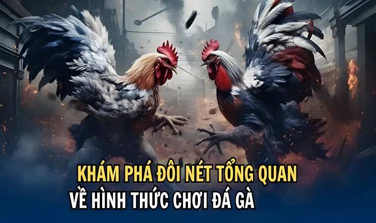 Đá Gà VL88: Khám Phá Sân Chơi Cá Cược Đẳng Cấp Nhất